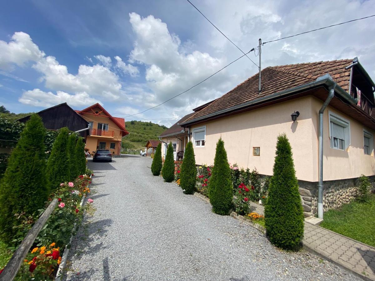 Casa Alberto Sovata Exteriör bild